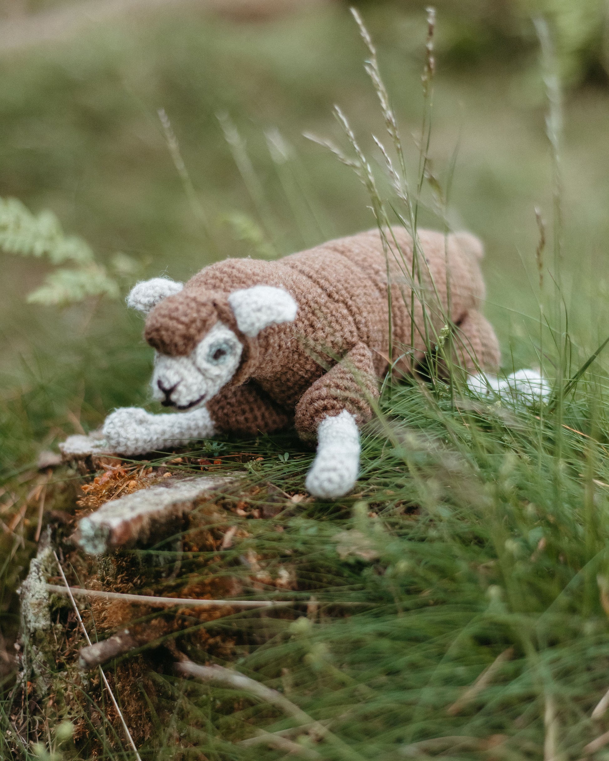 Bleep is an amigurumi sheep made from organic wool.